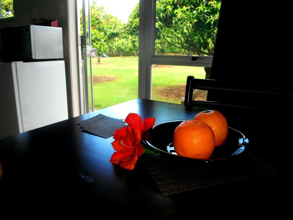 Orchard Motel Kerikeri Room photo